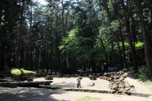龍ケ崎市森林公園