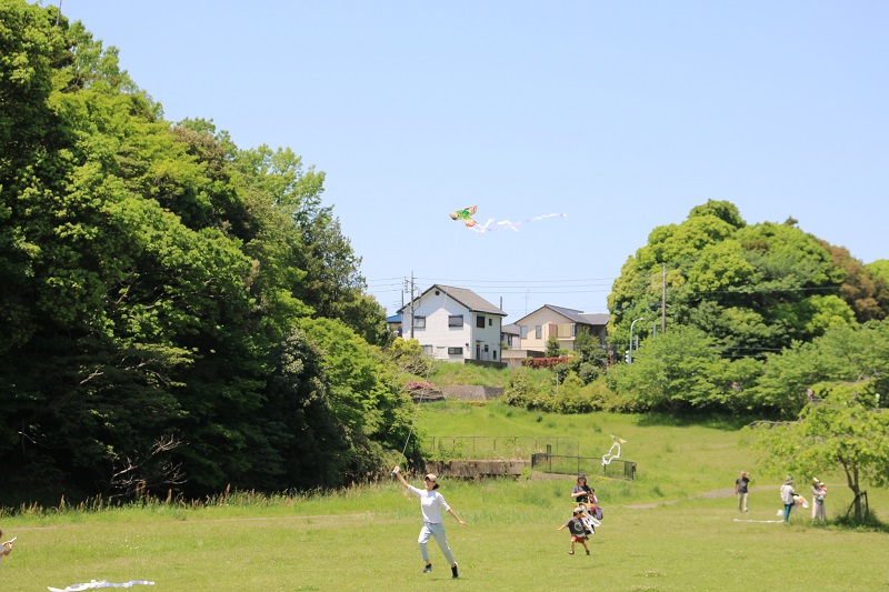 こどもの日の空に伝統の「龍ケ崎とんび凧」が舞う
