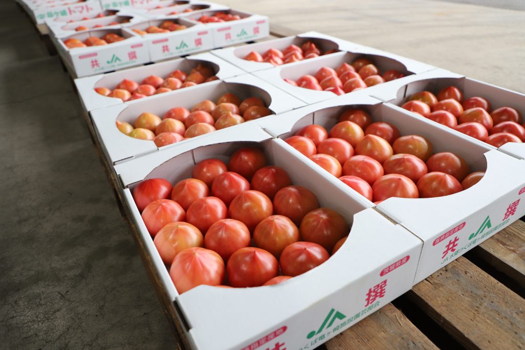 箱詰めされた龍ケ崎トマト
