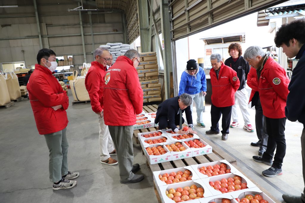 出荷規格を確認する生産者たち